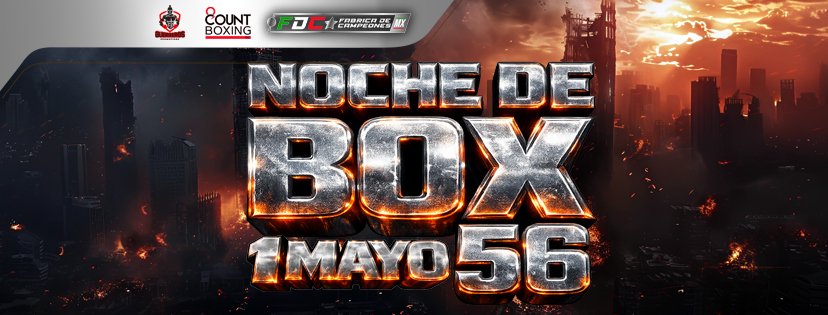 PROFESSIONAL BOXING